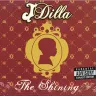 Album/single cover art for J Dilla, Won't Do